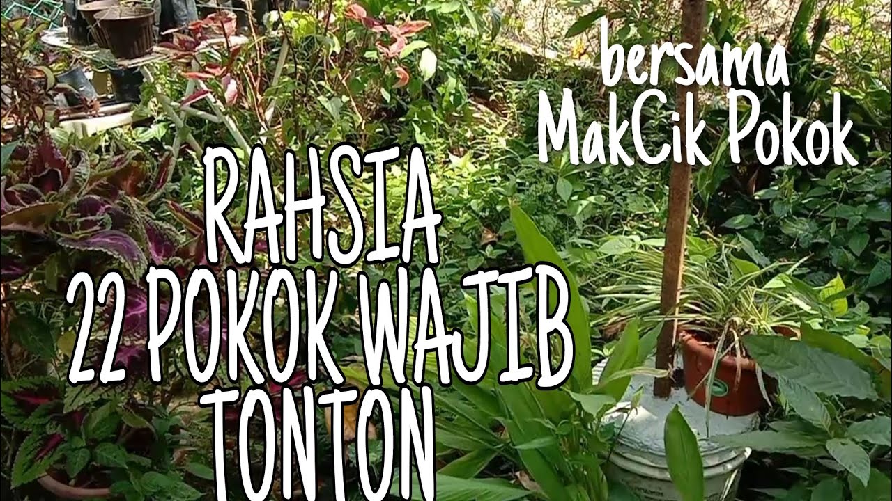 Rahsia 22 Pokok Herba Wajib Tonton  #Herbs #Natures #Remedies