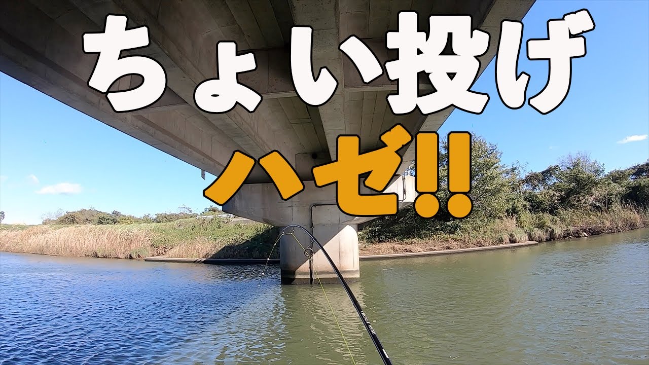 【ハゼ釣り】ちょい投げで良型のハゼが釣れた！