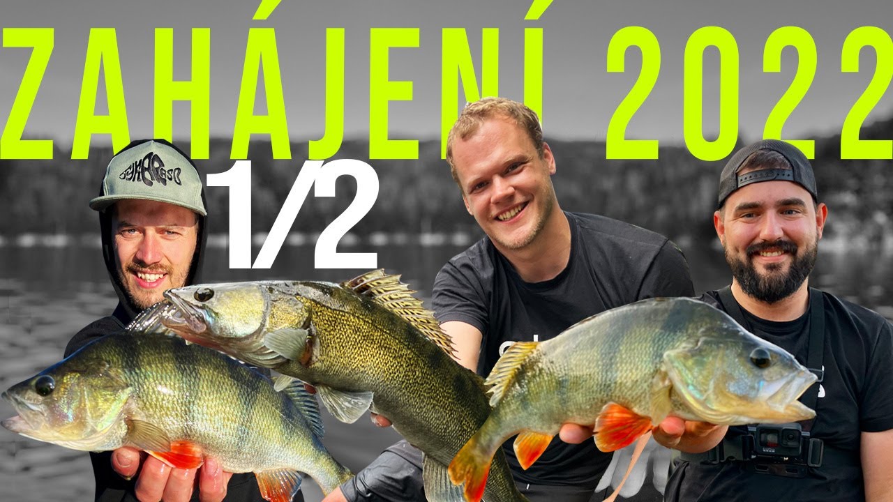 Zahájení dravcové sezóny 2022 1/2 | 2022 Predator season opening