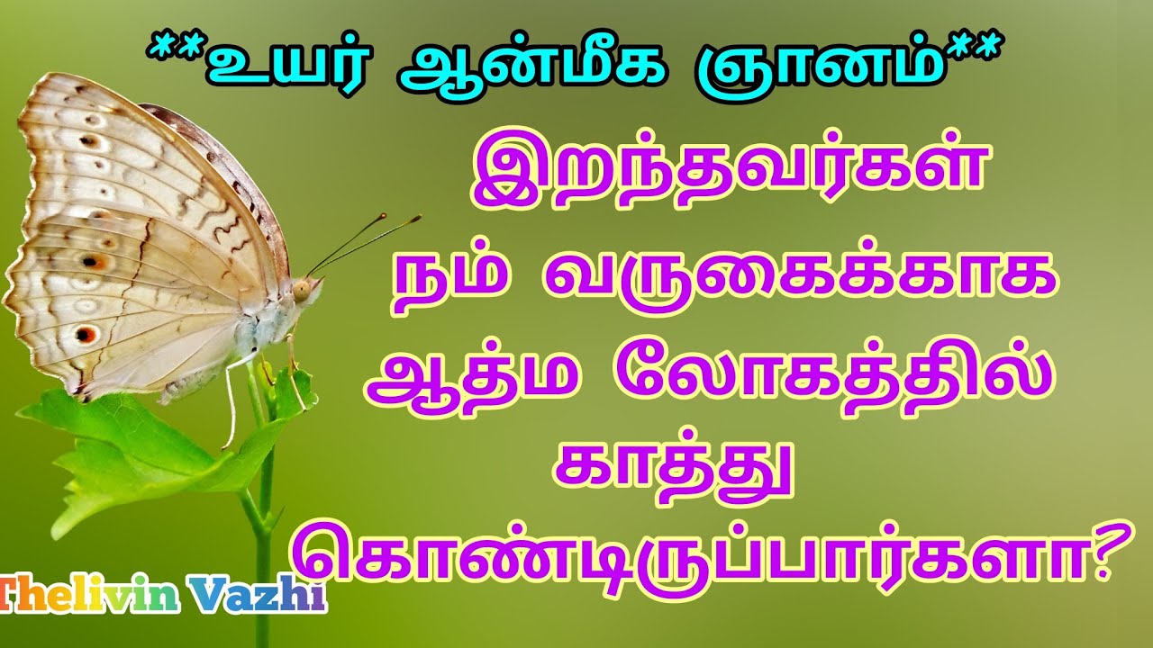 இறந்தவர்கள் நம் வருகைக்காக ஆத்ம லோகத்தில் காத்துக் கொண்டிருப்பார்களா?