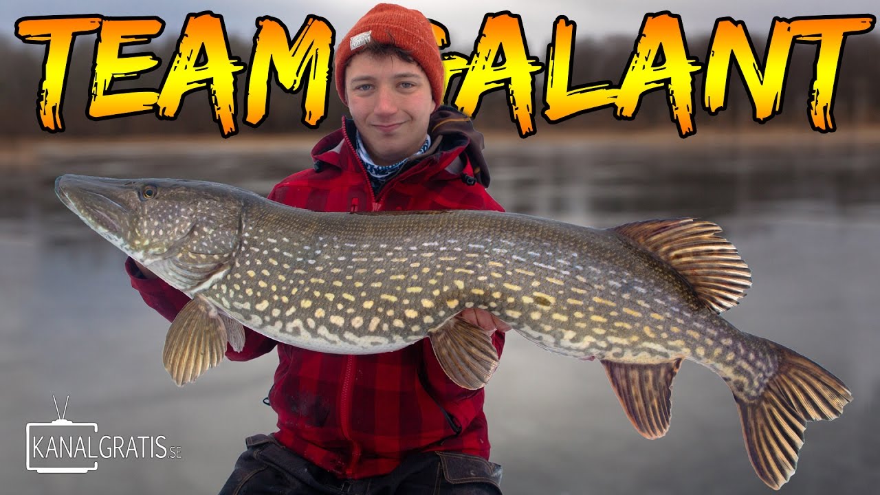 ISMETE GÄDDA 12+ | Team Galant (English Subtitles)