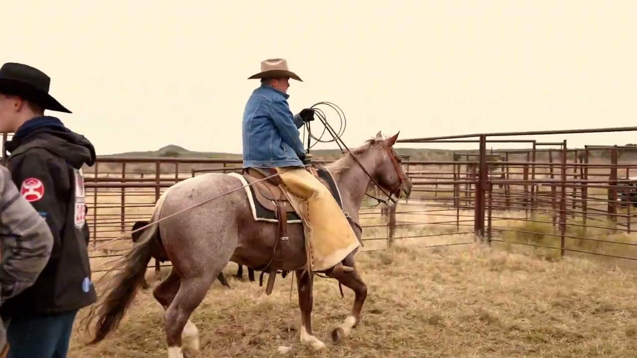 RANCHIN' with Scout