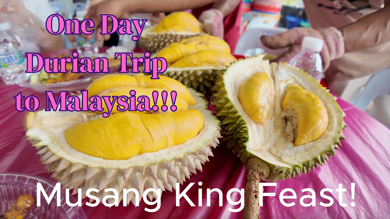 One day Durian Trip to Malaysia!!!