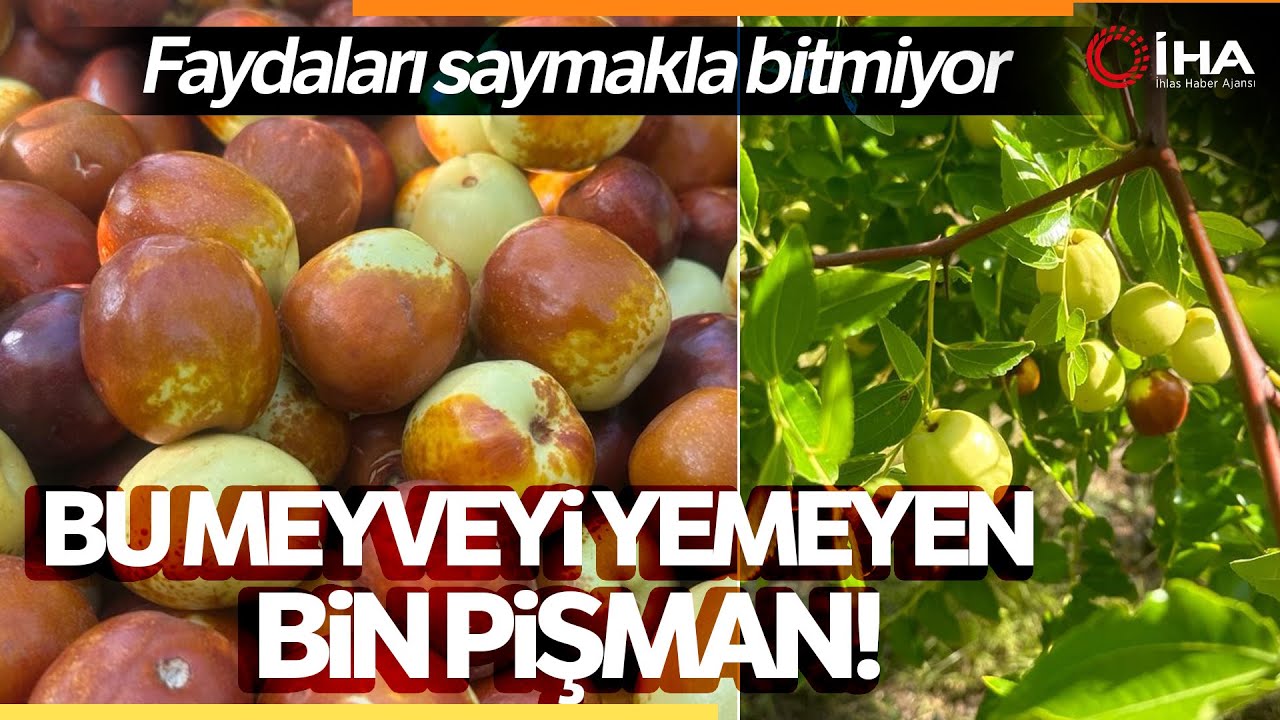 Hünnap Meyvesinin Faydaları Saymakla Bitmiyor