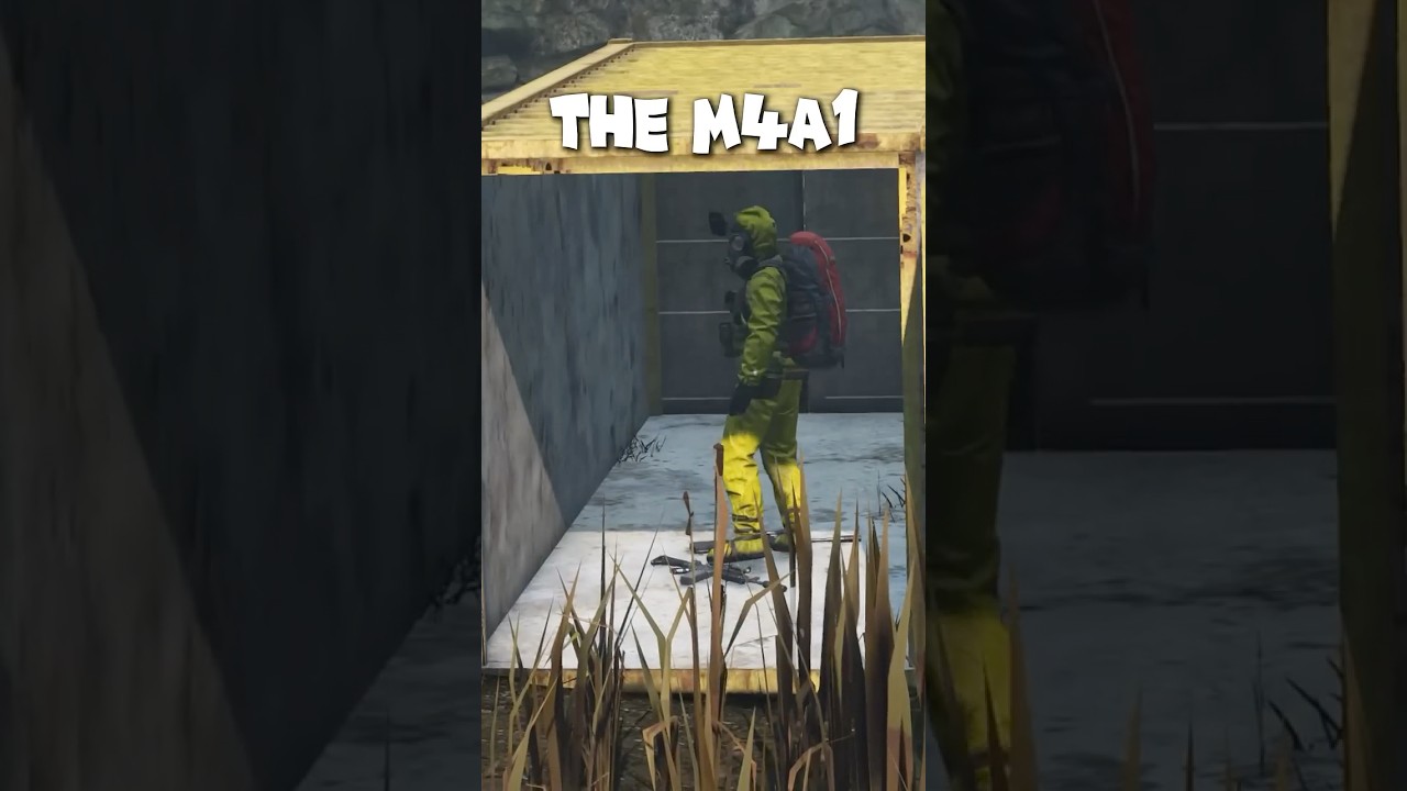 AUR AX лучше, чем M4 в DayZ? #dayz #shorts