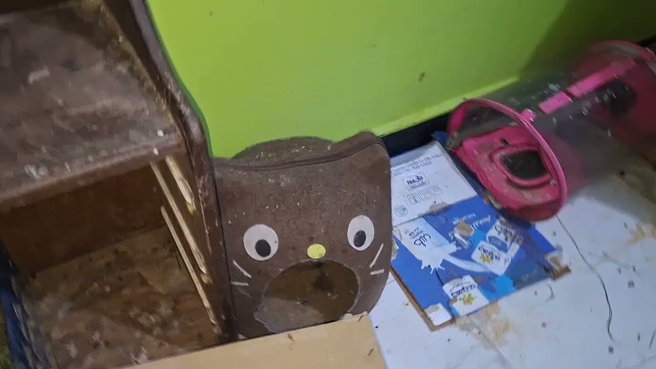ES geht los ❤️Schnüffel hat Erkältung 😭