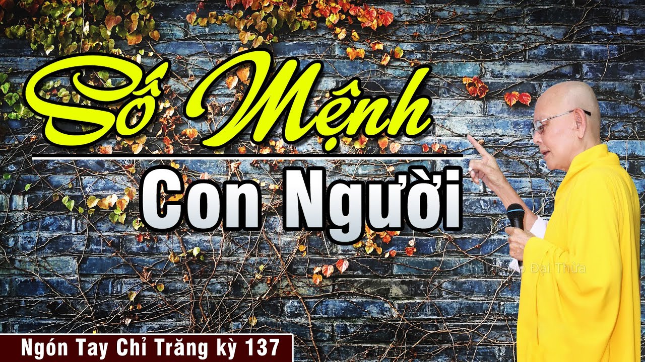 Lời Phật Về Số Mệnh Con Người | Ngón Tay Chỉ Trăng kỳ 137 - Mong Manh Như Một Cành Hoa - HT.Từ Thông