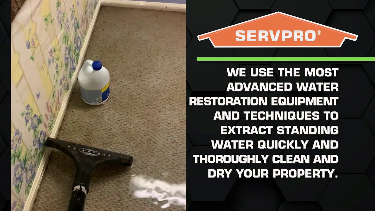 SERVPRO of Loudon & Roane Counties Extracting Standing Water from a Home