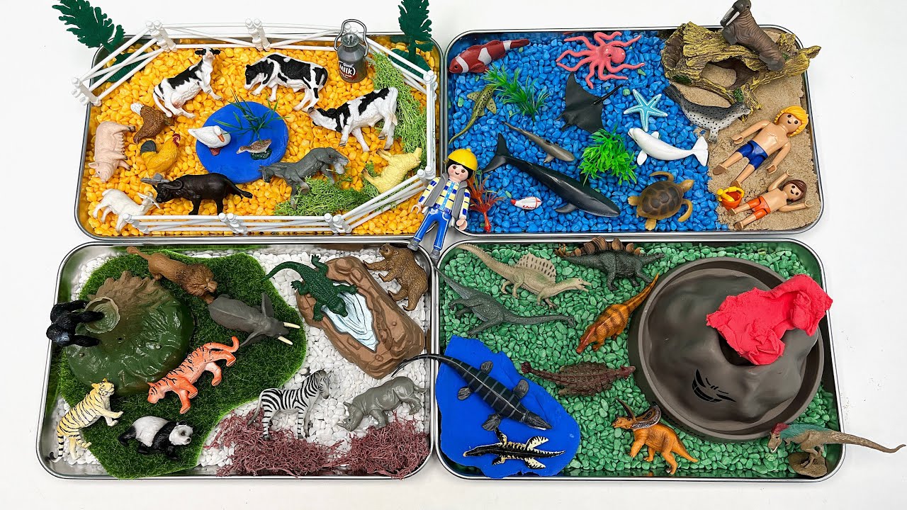 4 Type Small World for Animals| Safari Farm Dinosaur Sea Animals
