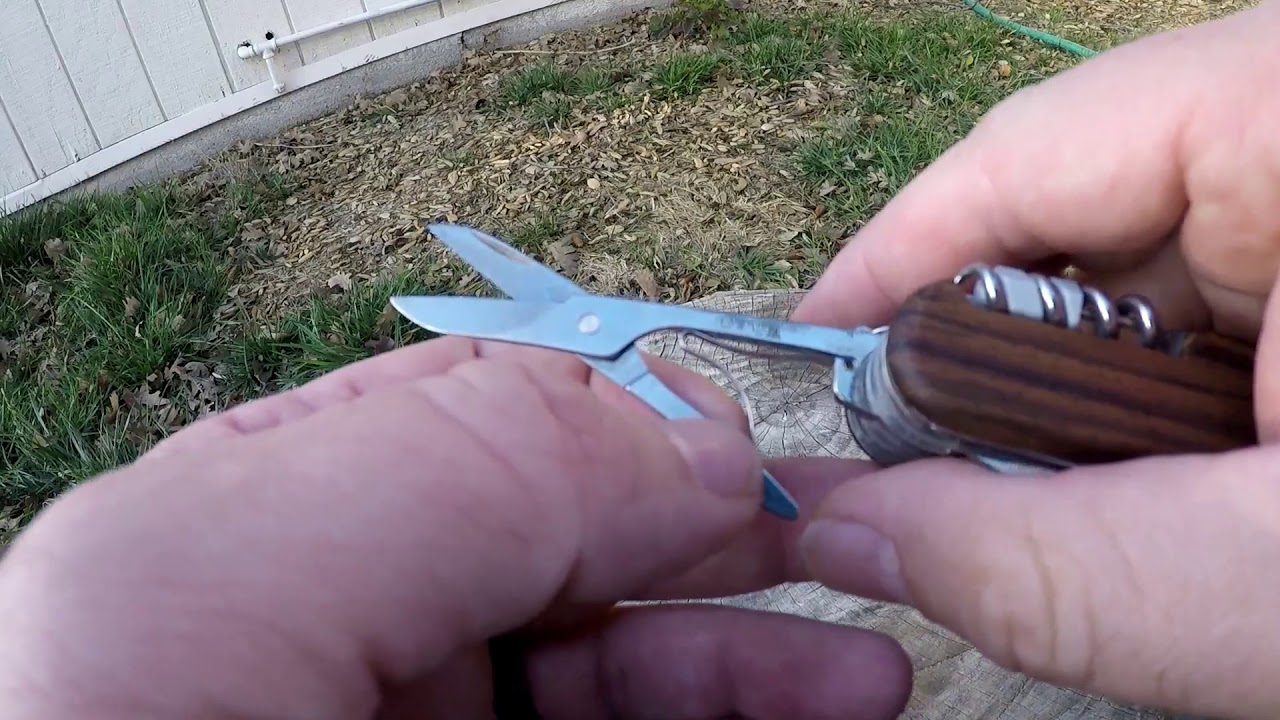 Victorinox Swisschamp Hardwood Scales ENGLISH