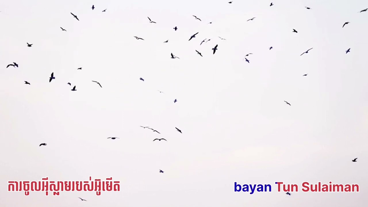 bayan Tun Sulaiman ( ការចូលអ៊ីស្លាមរបស់អ៊ូមើត)
