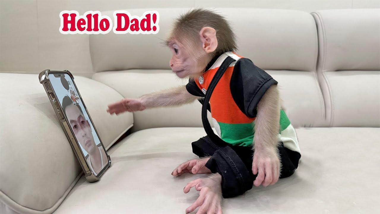Calling Dad: The Solution to Get Lucky to Eat!