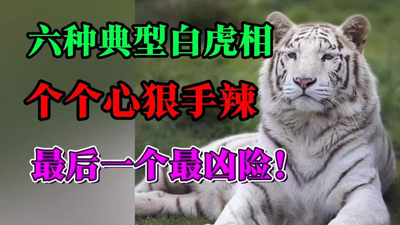 6種典型的白虎相，個個心狠手辣，最後一個最凶險！