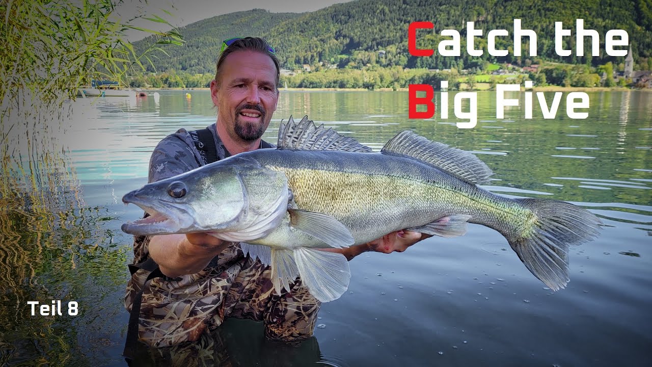 Tube Jig FPS Big Fish auf Zander und Waller angeln : Catch the big five Folge 8 - Fishingprofi