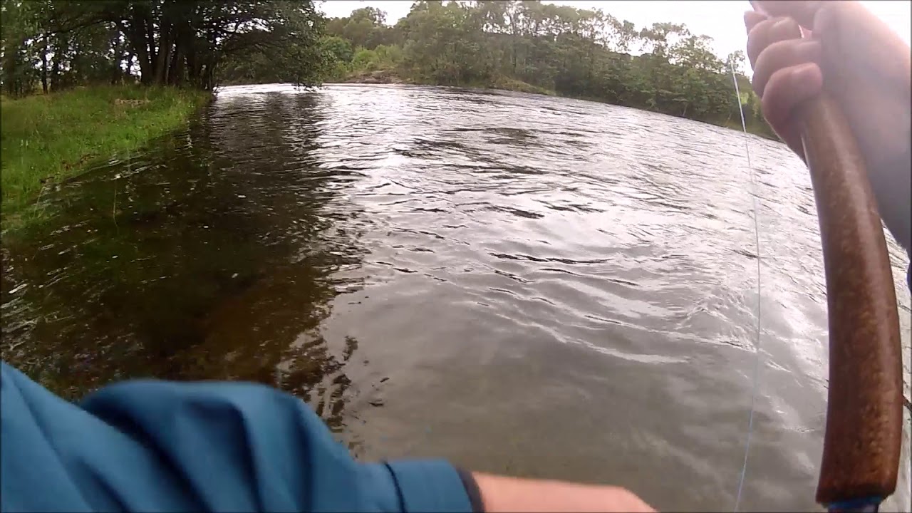 Laks Bjerkreimselva 2017