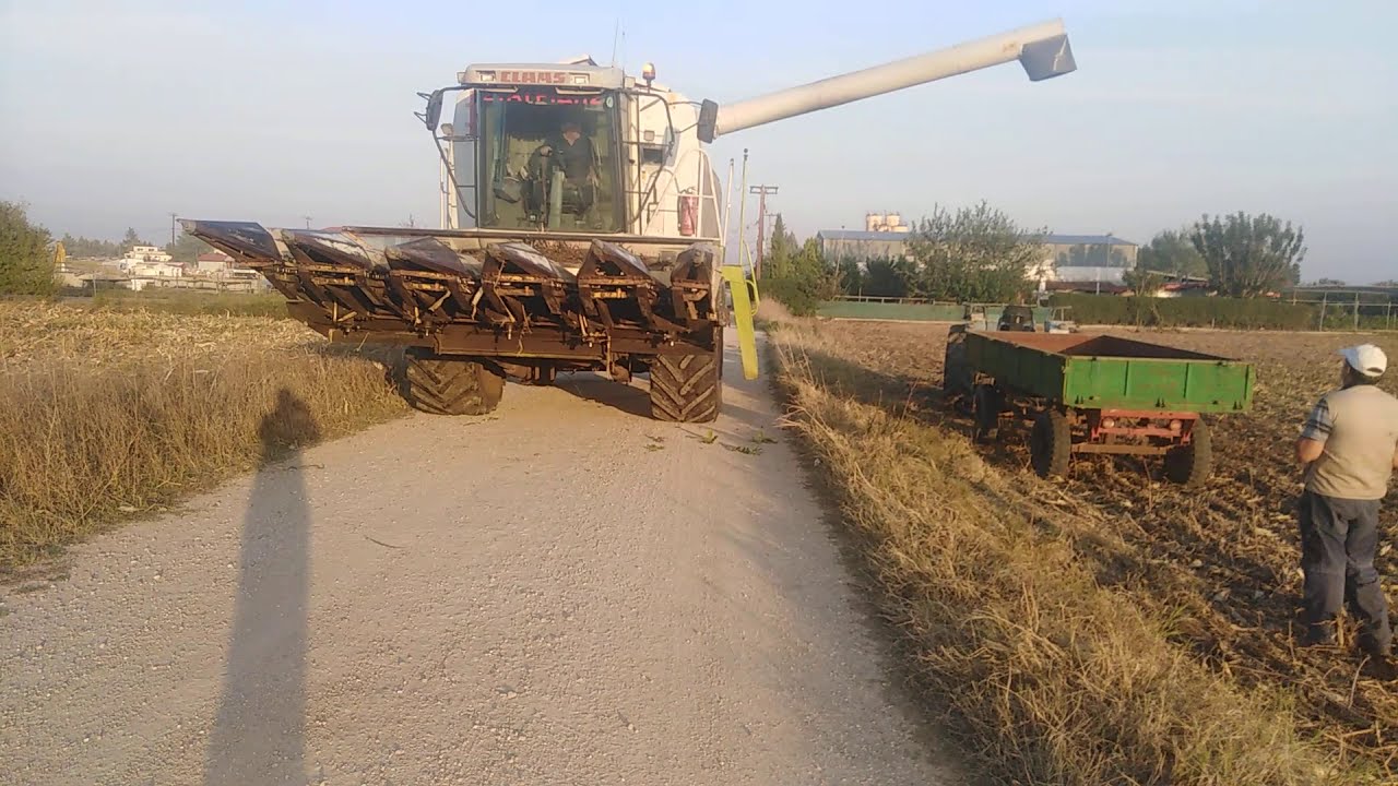 Claas Lexion 430 Τέλος Το Αλώνισμα Καλαμποκιού Στον Πύργο Ορεστιάδας Έβρου 24.10.2020