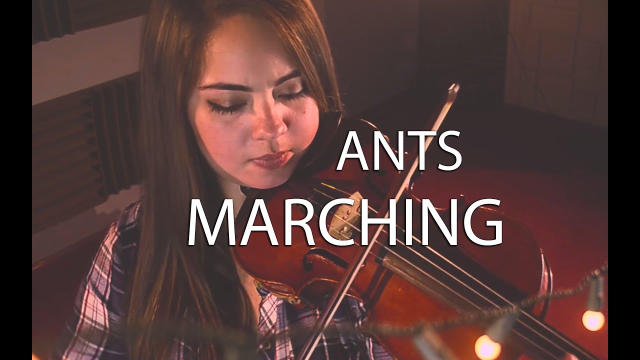Ants Marching - Blú Quartet (Dave Matthews Band cover)