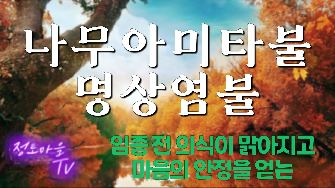 정토마을 [능행스님의 임상기도] 1.명상염불