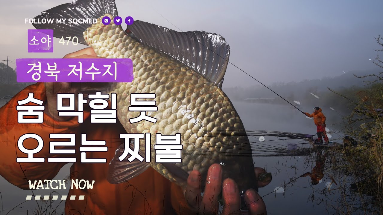 숨 막힐 듯 찌를 올려주는 저수지