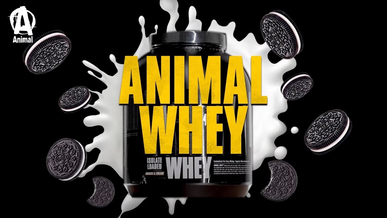 ANIMAL WHEY | New And Improved Flavour! Cookies & Cream