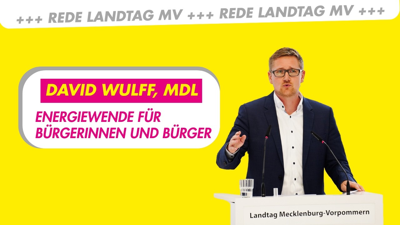 Energiewende für die Bürger | David Wulff, MdL FDP-Gruppe | Drucksache 8/4876 Landtag MV
