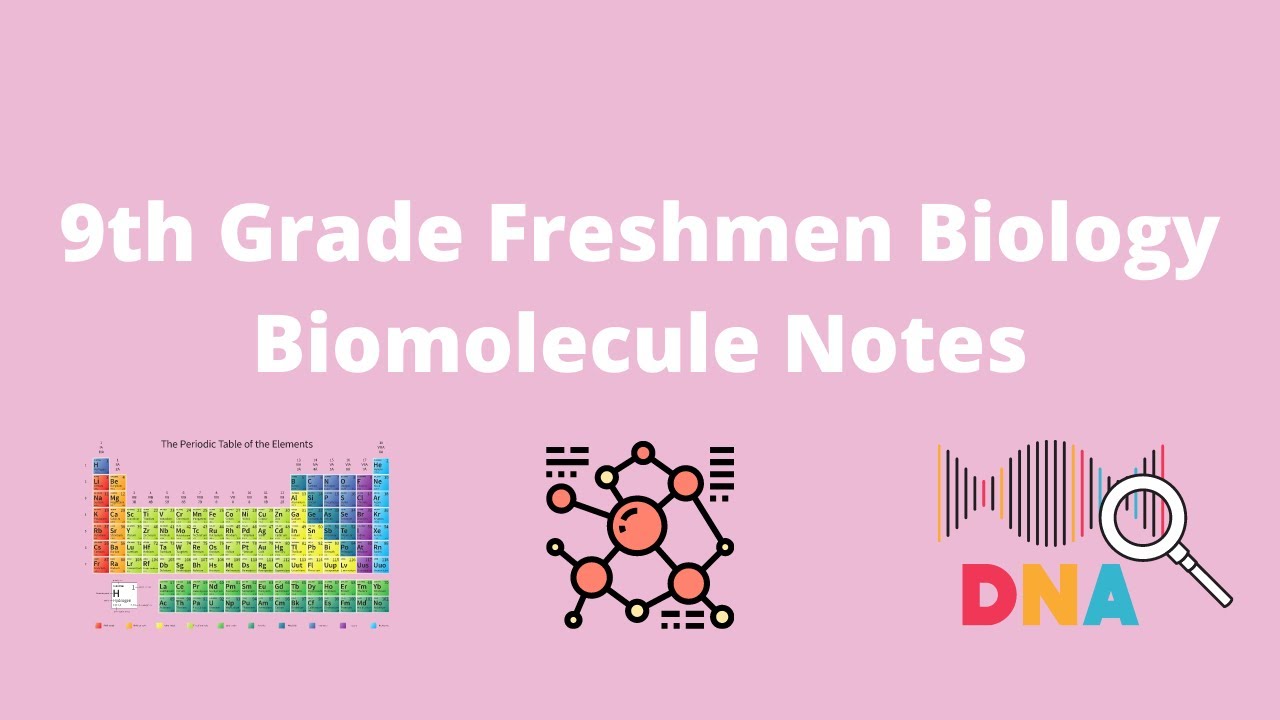 9th Grade Freshman Biology Biomolecule Notes
