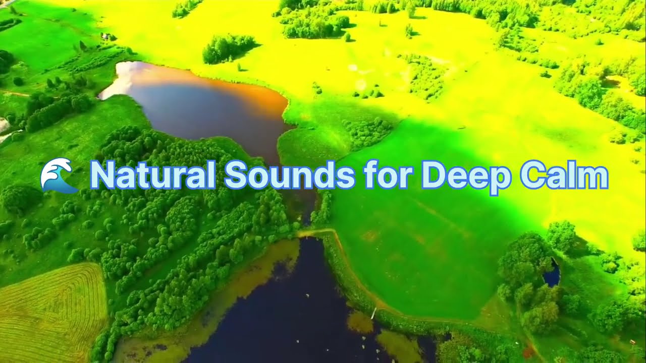 Nature Lover&rsquo;s Paradise 🌳 | Calm & Relaxing Nature Video🌎