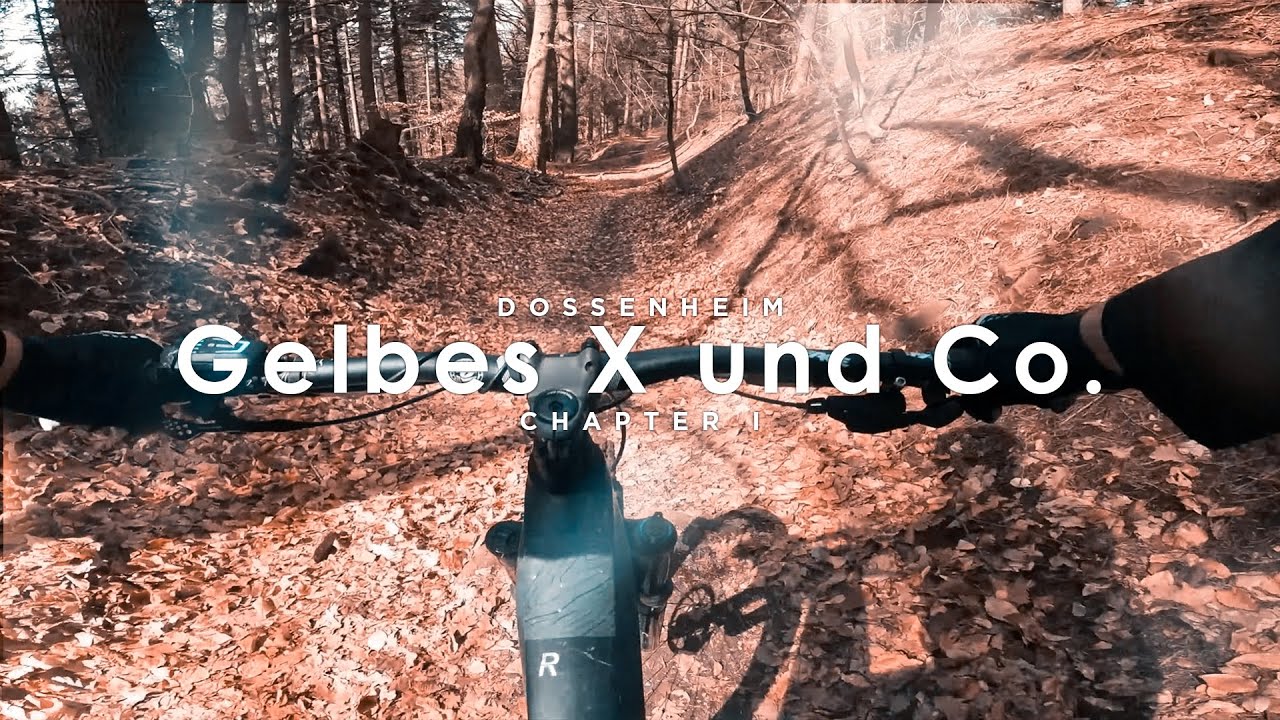 Weisser Stein Trail, Weisser Stein Rollercoaster, Gelbes X Lines...  | Steinbrecher Trails