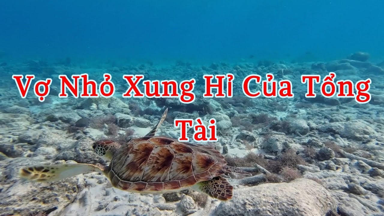 [Truyện audio] Vợ Nhỏ Xung Hỉ Của Tổng Tài (Full)
