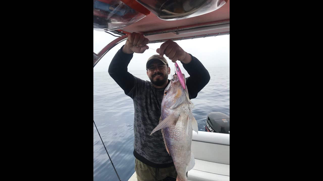 Oltaya Gelen Kırmızılar Sinarit Avları Slow Jig Dentex Daiwa Mr Slow / Saltiga SK Jig