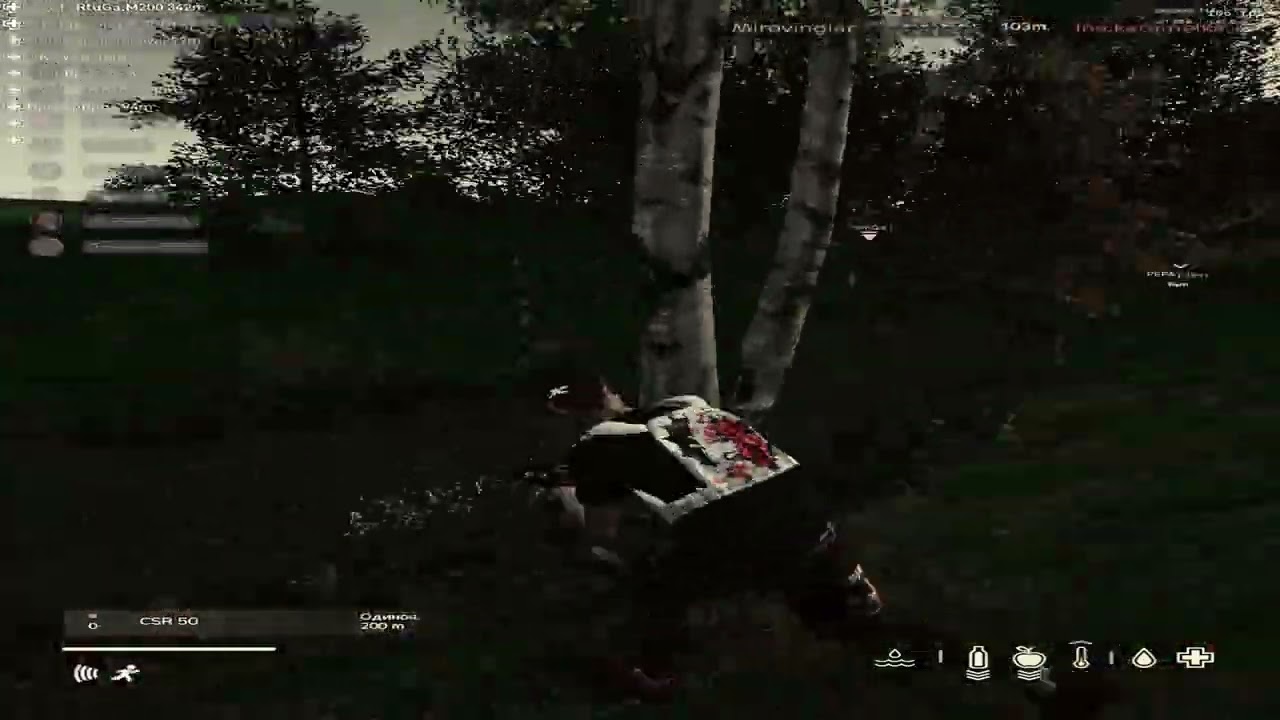 𝙳𝚊𝚢𝚉? Well, well, well.... #blackline #dayz #fragmovie
