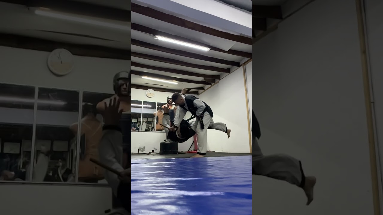 Defensa contra pu&ntilde;o, uso de dan bong hapkido 🇨🇱 whf