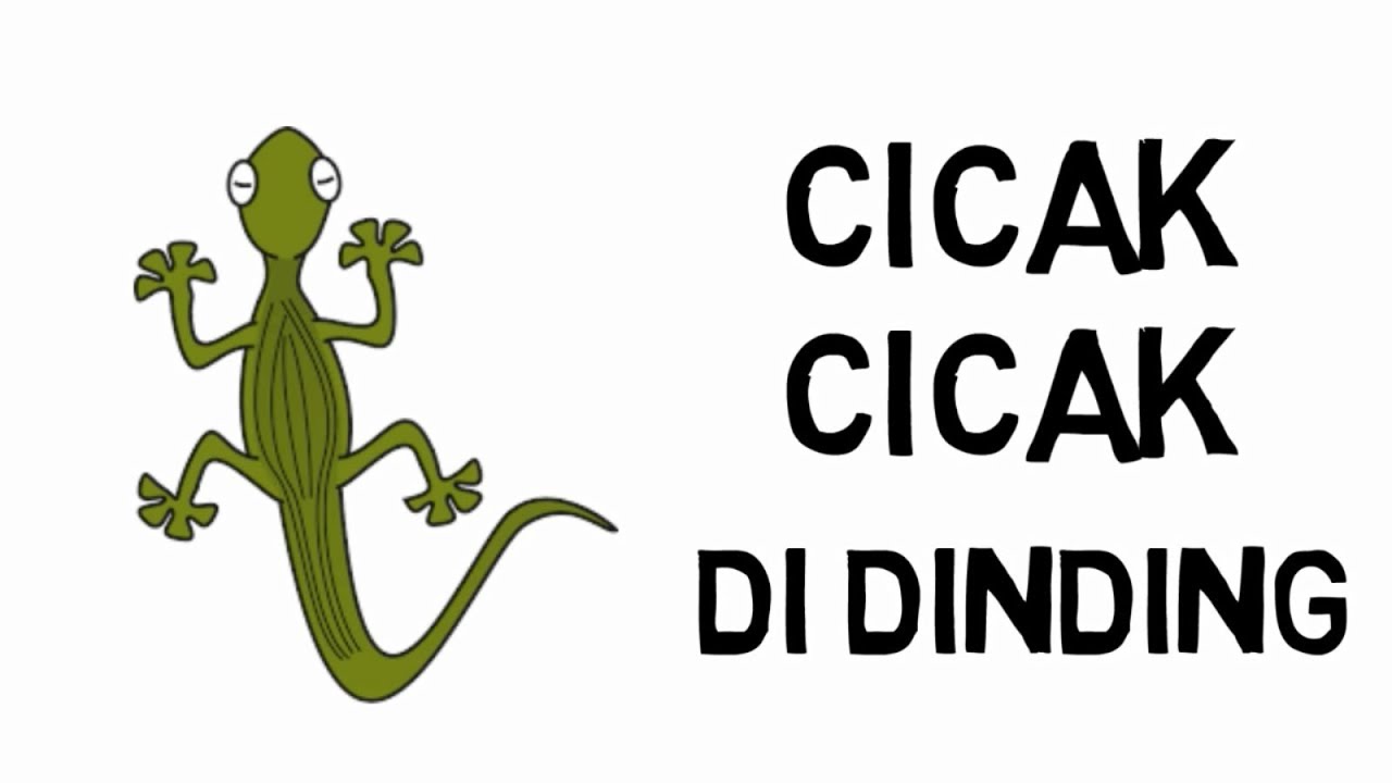 Cicak Cicak di Dinding