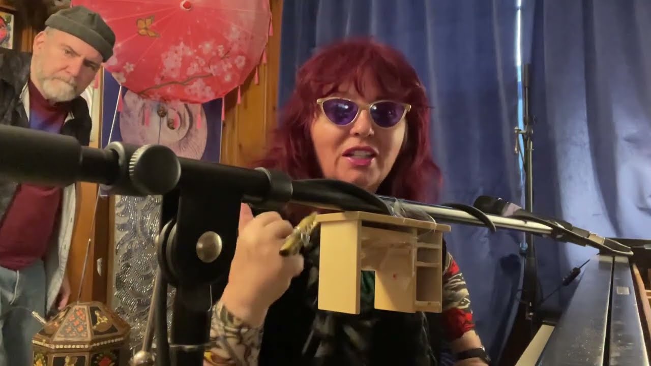 THIS IS NOT A DREAM for Tiny Desk Contest 2026