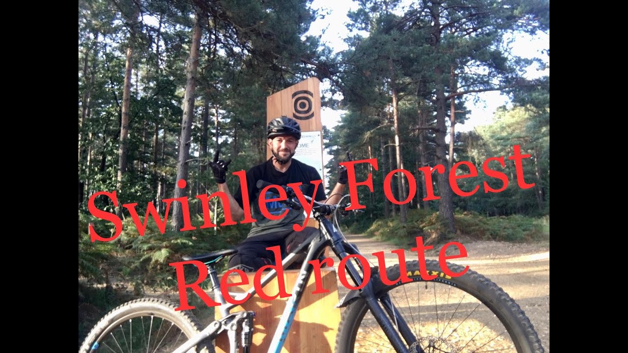 Swinley Forest MTB Red Route Review