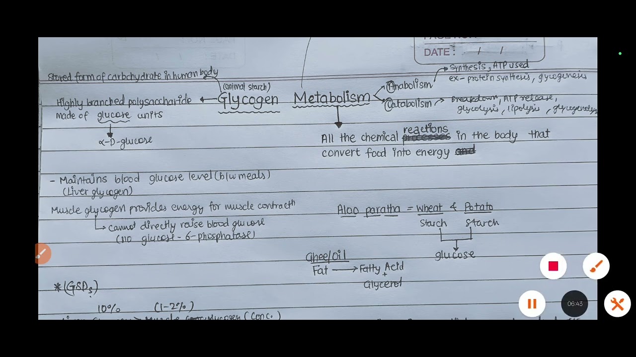 Glycogen Metabolism -1
