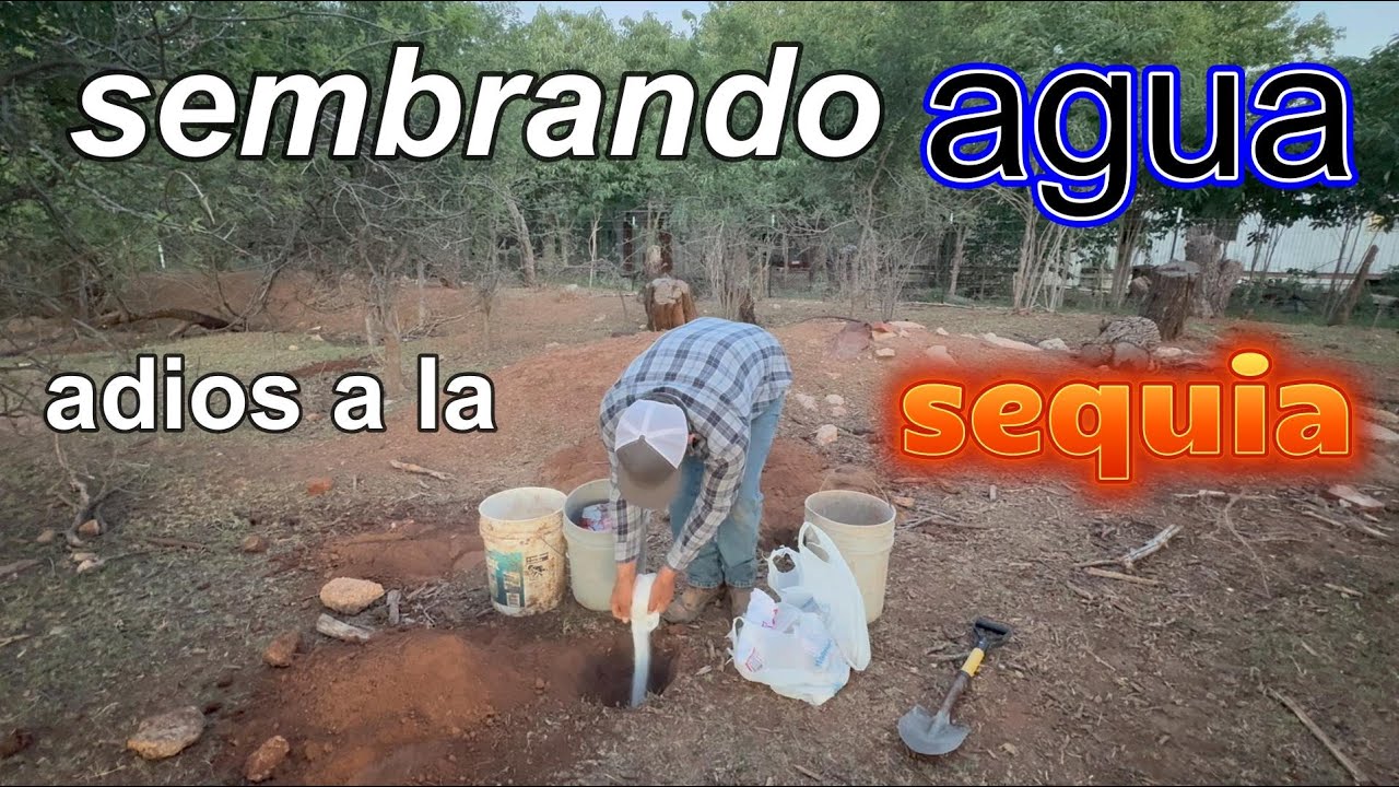 SEMBRE UN POZO DE AGUA // es posible sembrar agua con metodo ancestral