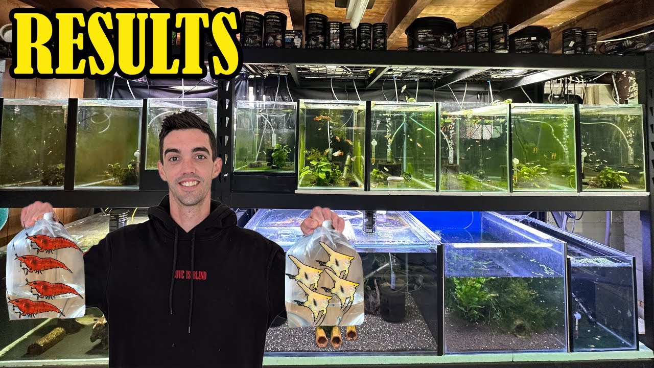 The Fish Room Update (August 2024)
