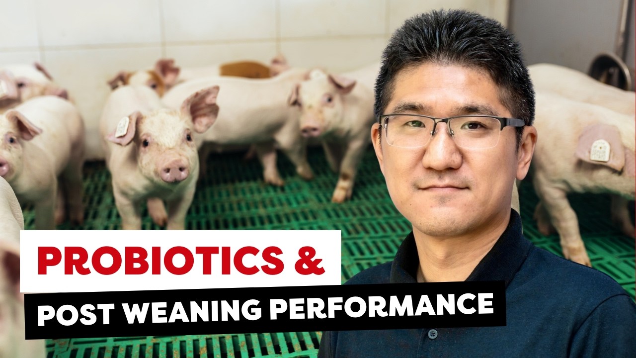 Better Weaning Transition - Dr. Young Dal Jang