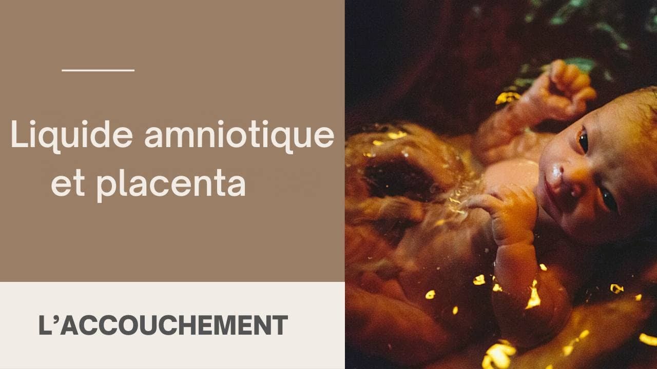 Le liquide amniotique et le placenta
