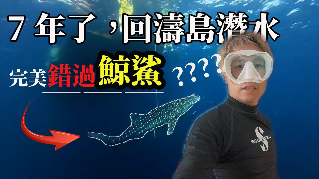 7年后重返涛岛潜水｜竟然错过鲸鲨？！Diving Koh Tao After 7 Years｜Missed the Whale Shark! #koh tao diving #涛岛潜水 #scuba