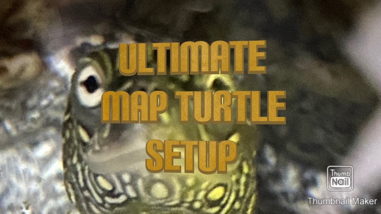 ULTIMATE MAP TURTLE SET UP