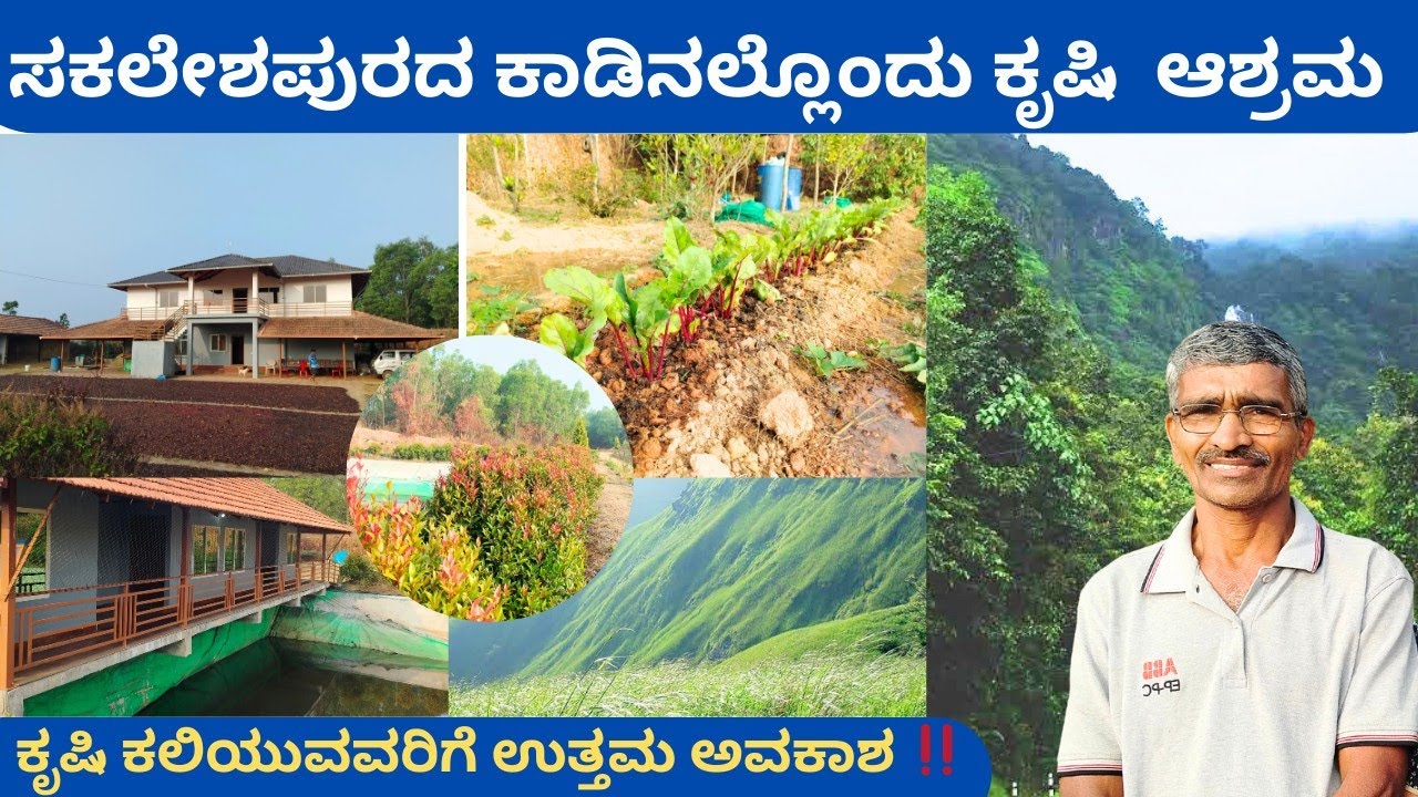ಕನ್ನೆರಿ ಶ್ರೀಗಳ ಪ್ರೇರಣೆ ಮಿಂಚುತ್ತಿದೆ ಕೃಷಿ ಆಶ್ರಮ‼️ ಬೆಂಗಳೂರಿನಿಂದ ಬಂದುಕೃಷಿ ಸಾಮ್ರಾಜ್ಯ ಸೃಷ್ಟಿ⁉️ ಪುಟ್ಟಸ್ವಾಮಿ