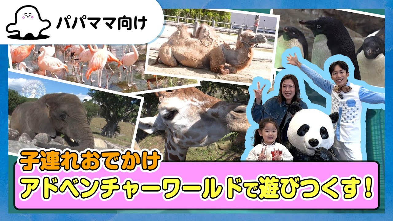 【おとなぷしゅ】アドベンチャーワールドで遊びつくす！【子連れおでかけ】