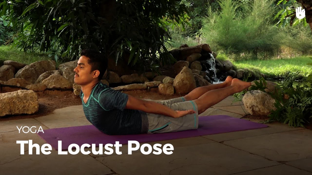 Learn the Locust Pose - Salabhasana | Yoga