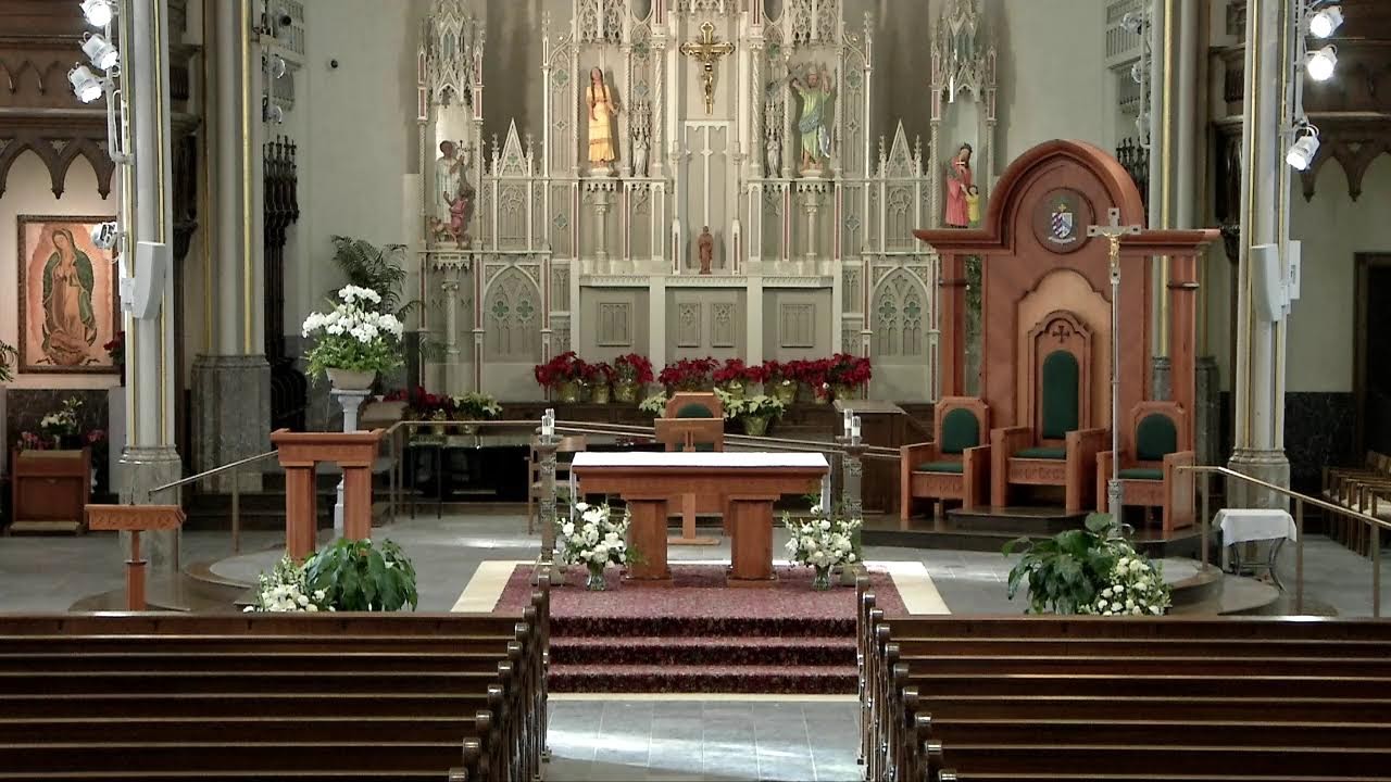 Mass - February 8, 2026/ La Santa Misa - 8 de febrero del 2026