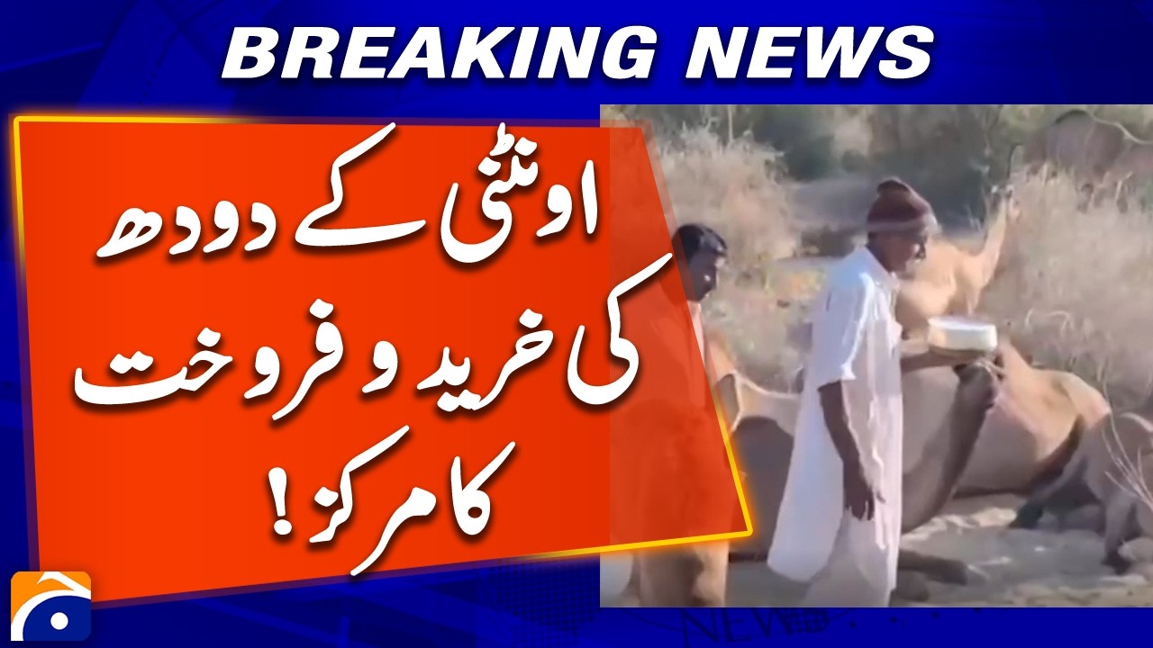 Tharparkar Becomes Center of Camel Milk Buying & Selling | Geo News