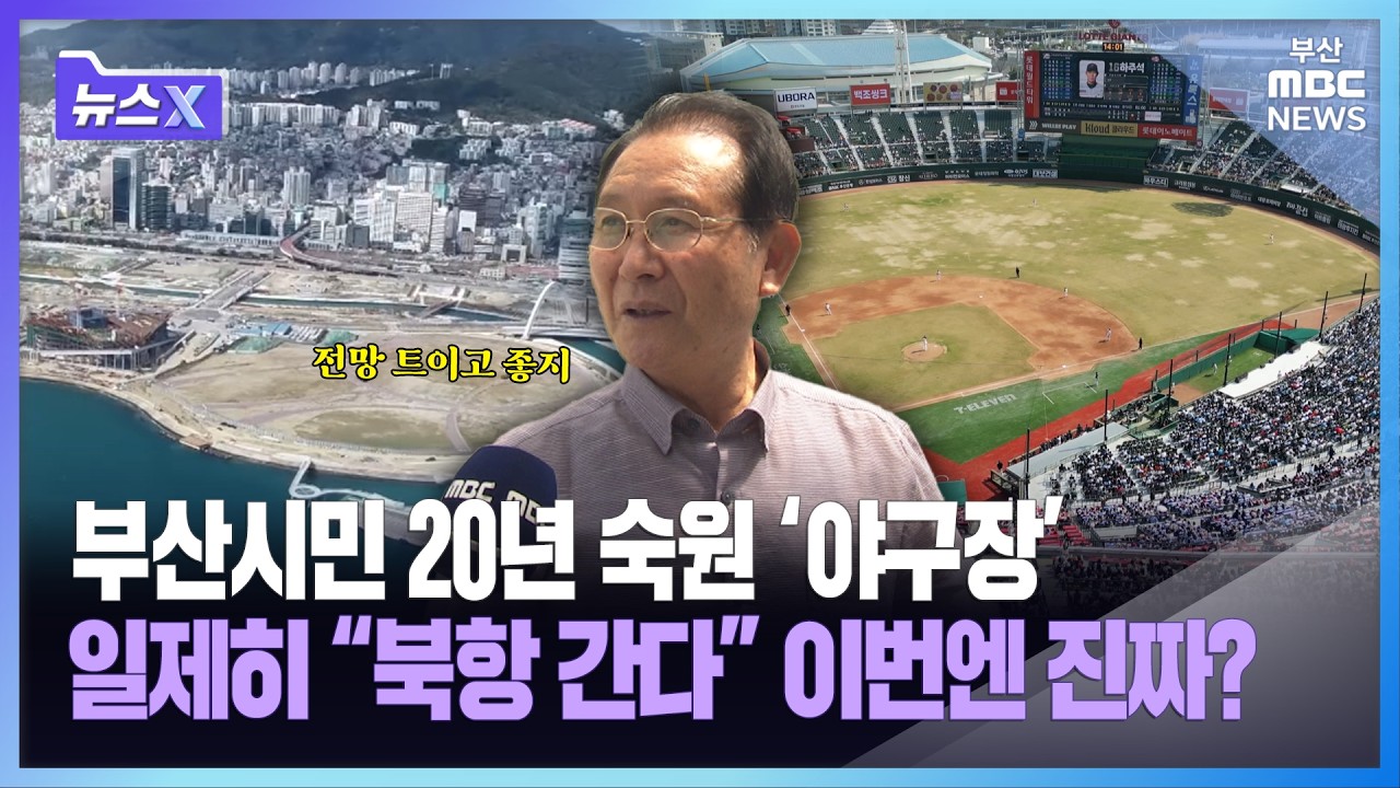 부산시민 20년 숙원 '야구장'..일제히 