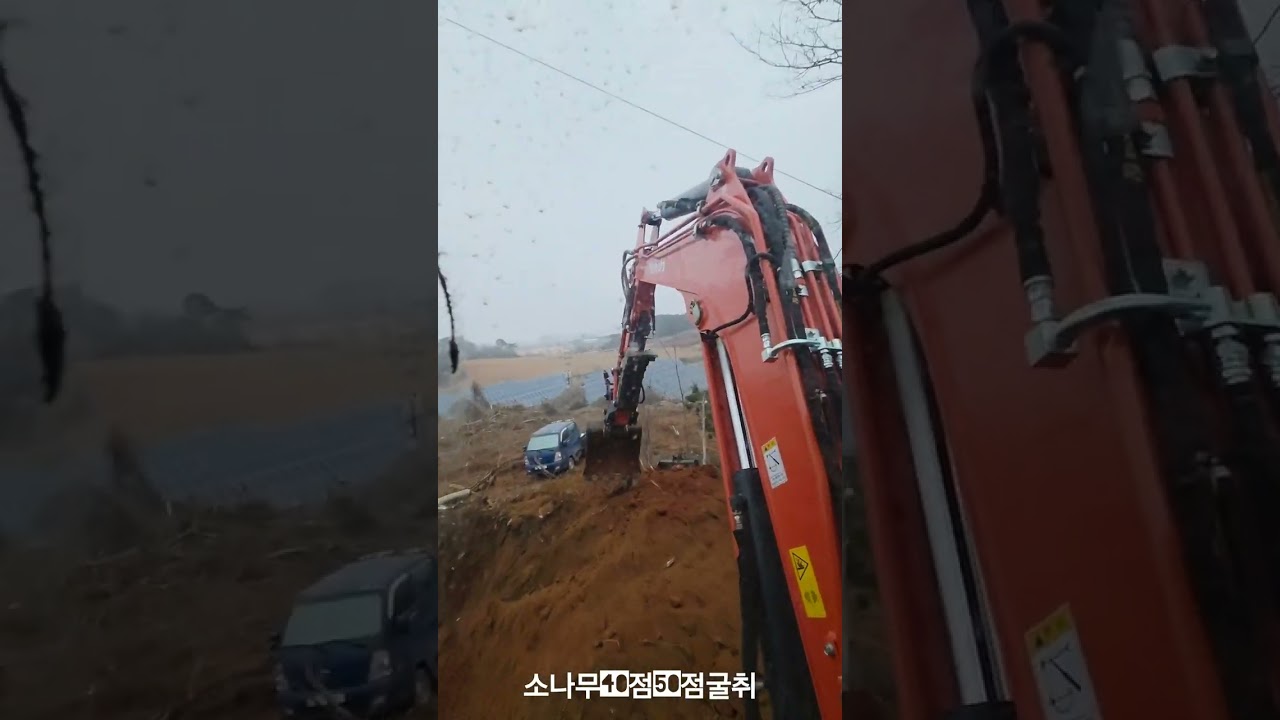 소나무굴취 ●구보다035●kx60●전주구보다●TP틸트링크                                                               