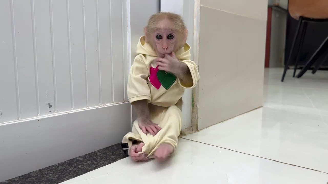 BATHROOM DRAMA! Lucky Screams and Cries After a Mysterious Toilet Incident! 😱🚽
